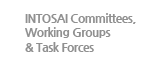 INTOSAI Committees,Working Groups & Task Forces